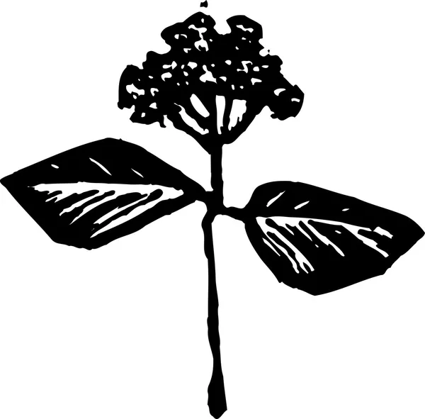 Träsnitt illustration av blomma — Stock vektor