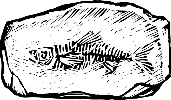 Holzschnitt-Illustration von Fossilien — Stockvektor