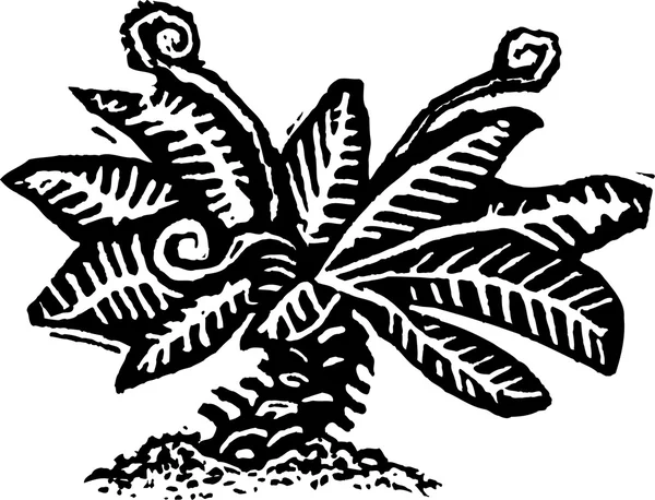 Fiddlehead fern Vector Art Stock Images | Depositphotos