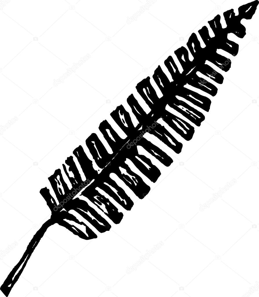 Woodcut Illustration of Fern Leaf or Frond