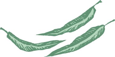 gravür illüstrasyon sakız ağacının yaprakları