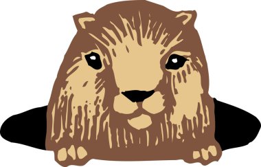 Bahçe haşere - gravür çizimi gopher