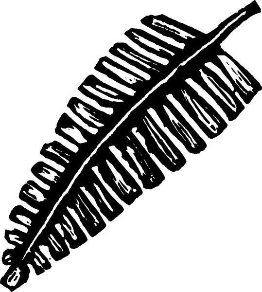 고 사리의 목 판 삽화 잎 또는 상체 — 스톡 벡터