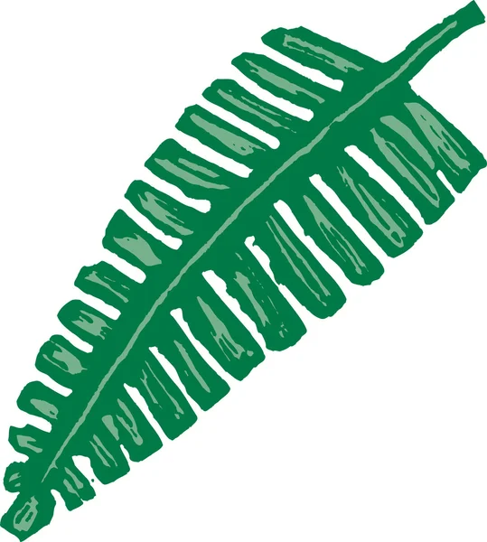 고 사리의 목 판 삽화 잎 또는 상체 — 스톡 벡터