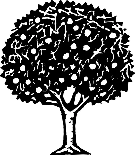Woodcut Ilustração da árvore de frutas — Vetor de Stock