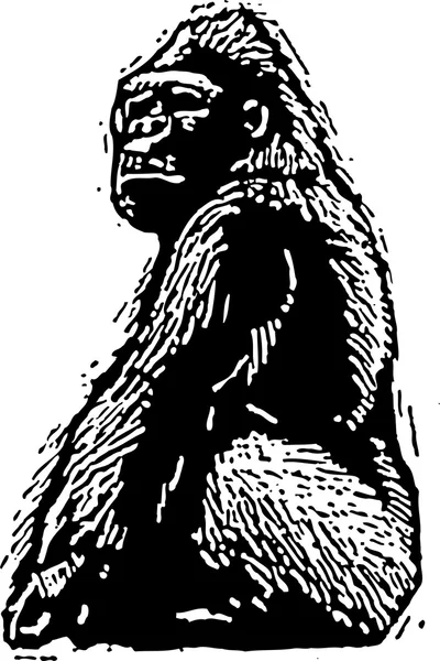 Träsnitt illustration av gorilla — Stock vektor