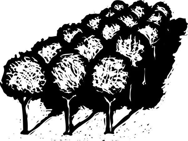 Ilustração Woodcut de arvoredo de árvores de fruto ou laranjeiras — Vetor de Stock