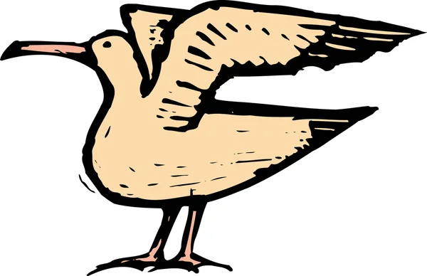 Woodcut illustration of Gull — Stock Vector