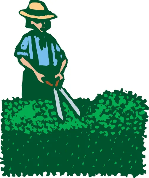Houtsnede illustratie van man of vrouw knippen hedge — Stockvector