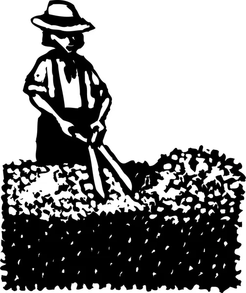 Gravure sur bois Illustration de l'homme ou de la femme Clipping Hedge — Image vectorielle