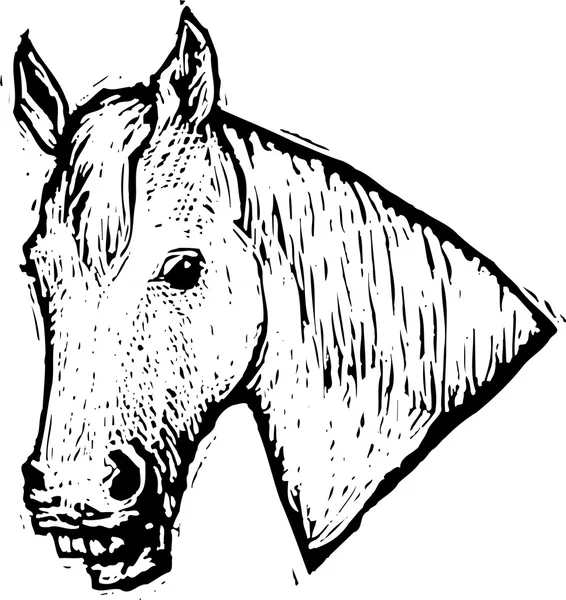 Woodcut Ilustração do cavalo falante — Vetor de Stock