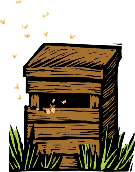 Woodcut Illustration of Beehive — Stock Vector