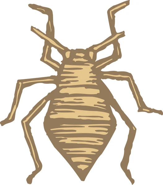 庭の害虫 - の木版画図アブラムシ — ストックベクタ