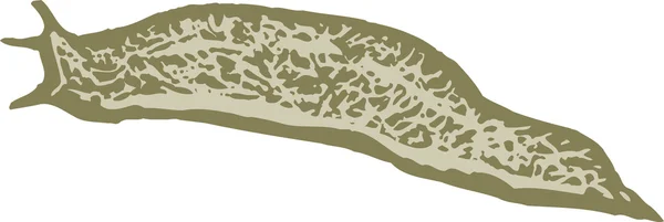 Woodcut Illustration of Garden Pest - Slug — Stok Vektör