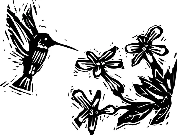 Woodcut Ilustração de Hummingbird Pollenating Flower — Vetor de Stock