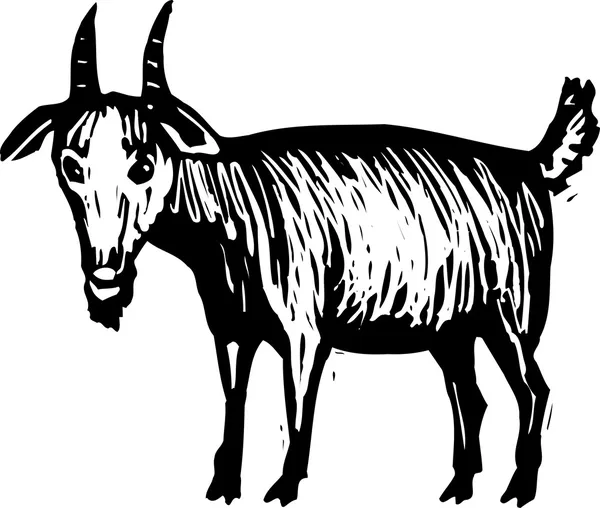 456 Nanny Goat Vector Images Nanny Goat Illustrations Depositphotos