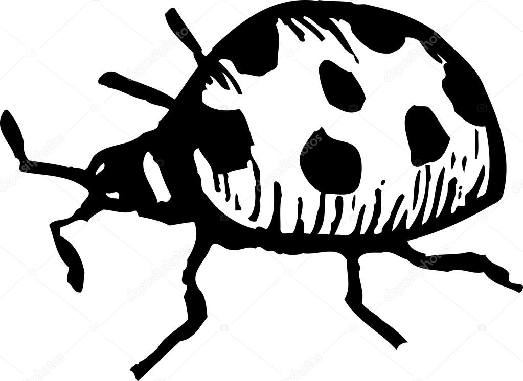 夕映えのてんとう虫、鉛筆画、サイズB2 夕映えのてんとう虫、鉛筆画