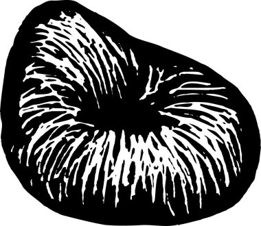 Beanbag sandalye