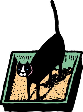 gravür kedi çöp kutu çizimi