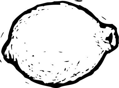 limon veya limon gravür çizimi