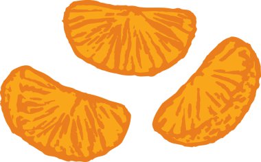 mandalina gravür çizimi