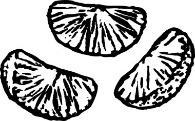 mandalina gravür çizimi