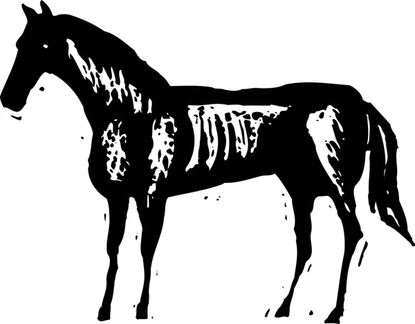 Illustrazione vettoriale del cavallo oscuro — Vettoriale Stock