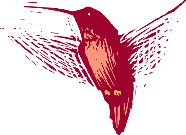 Illustration des Kolibris — Stockvektor
