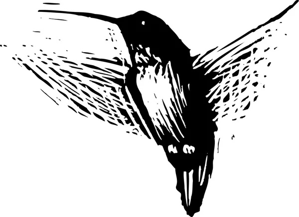 Illustration des Kolibris — Stockvektor