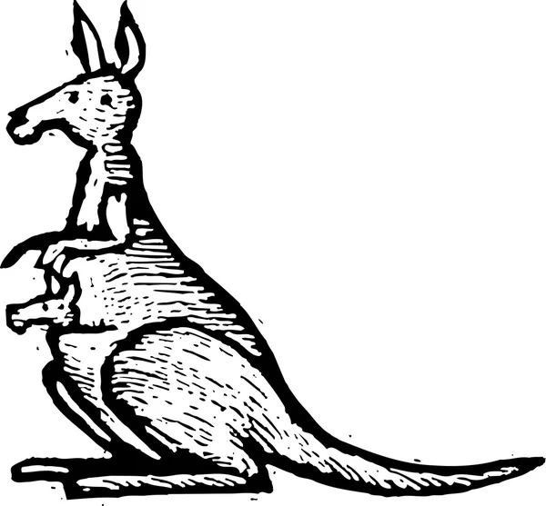 Vektor illusztrációja kenguru — Stock Vector