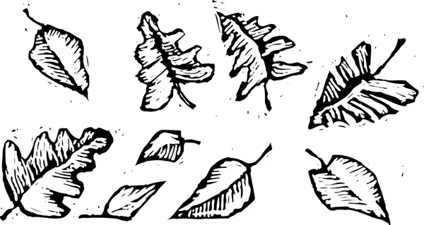 Woodcut ілюстрація того, листя — стоковий вектор