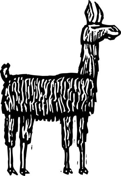 Woodcut Ilustração de Llama — Vetor de Stock