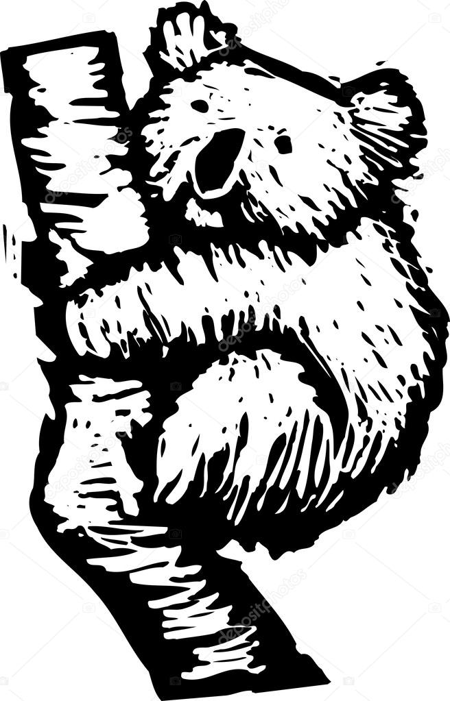Woodcut Illustration of Koala