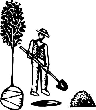 ağaç dikim gravür illüstrasyon