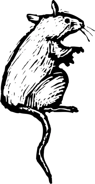 Woodcut ilustração do mouse — Vetor de Stock