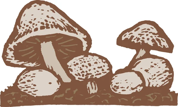 Woodcut Illustration of Wild Mushrooms — Stock Vector