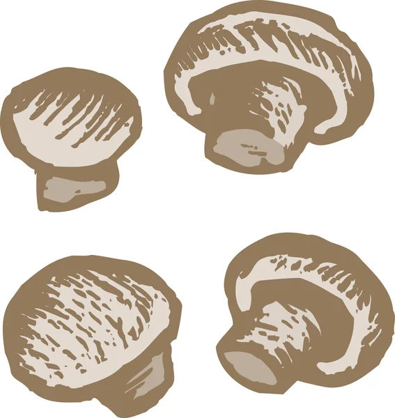Деревянная иллюстрация грибов — стоковый вектор