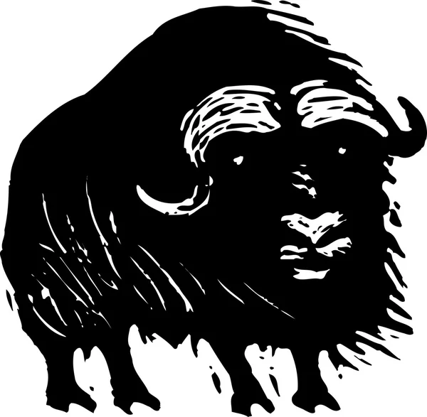 Woodcut Illustration of Musk Ox — Stock Vector