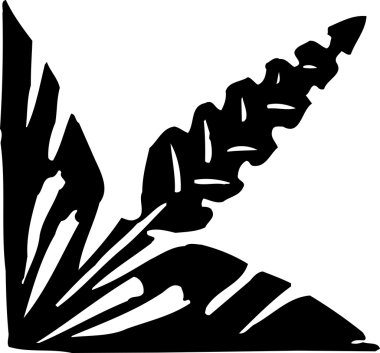 Botanik grafik süsleme gravür çizimi