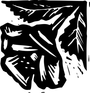 Botanik grafik süsleme gravür çizimi