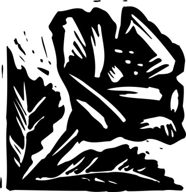 Botanik grafik süsleme gravür çizimi