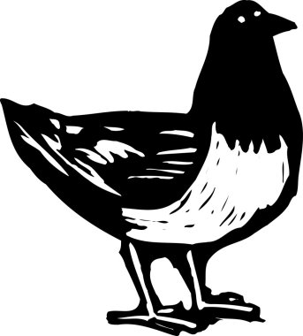 Woodcut illustration of Pigeon clipart