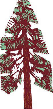Woodcut Illustration of Pine Tree clipart