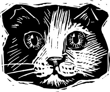 gravür illüstrasyon kedi yüz