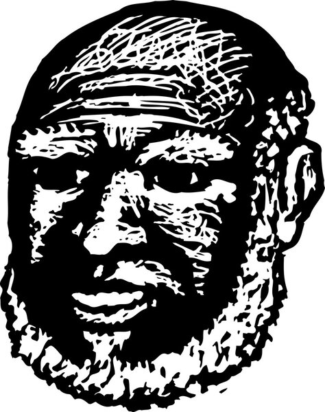 Вырубка леса на реке Старик
