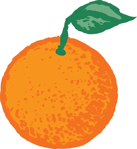 Dřevoryt obrázku Orange — Stockový vektor