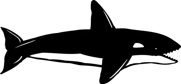 Ilustración xilografía de Orca — Vector de stock