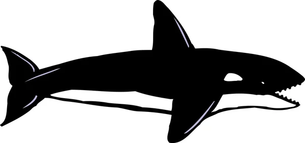Woodcut ilustração de Orca — Vetor de Stock
