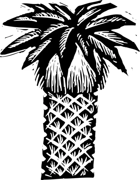 Träsnitt illustration av palm tree — Stock vektor