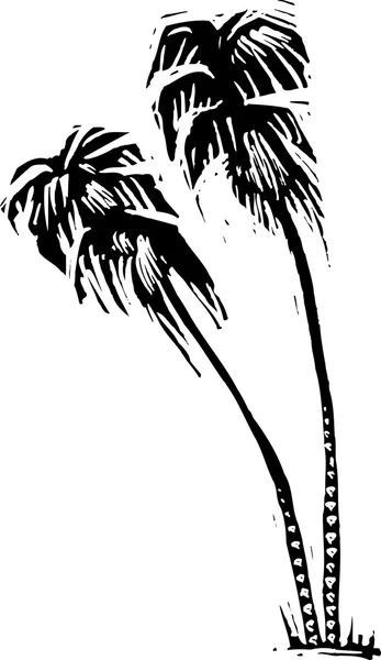 Dřevoryt ilustrace palmu — Stockový vektor